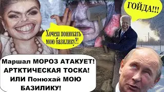 сЦарть-то не настоящий! Гаврила трогал помидорку - Гаврила нюхал базилик