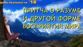 18. Притча о разуме и другой форме восприятия мира.