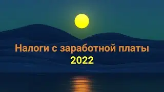 Сколько налогов платит работодатель с заработной платы работника 2022 + ПРОВЕРОЧНЫЙ ТЕСТ