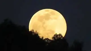 Full moon rising 2 8 20