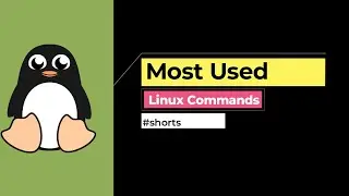 Most Used Commands in Linux | #shorts