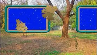 Green Screen Shadi background video HD || Green Screen Beautiful background Animated video