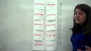 Week 3 Vocabulary Words in the Foldable Format