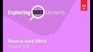 Exploring Elements: Bounce Back Guided Edit with VidProMom