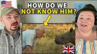 Americans React to David Attenborough for the First Time - Top 10 Moments