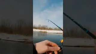 Микроджиг весной #fishing