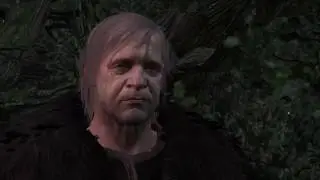 Ведьмак 3   добрый друид