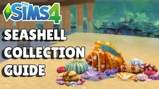 How To Collect Seashells In The Sims 4 | Collection Guide