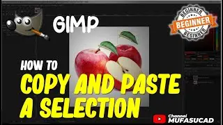 Gimp How To Copy And Paste A Selection