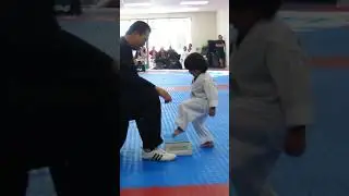 3 Year Old Tries to Break Board in Taekwondo