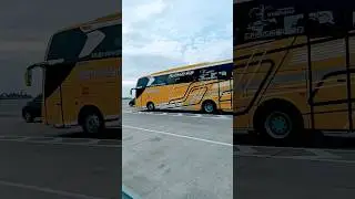 Bus Pariwisata ABRAHAM PUTRA JAYA Trans