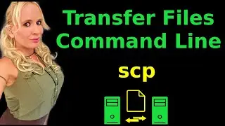 Command Line File Transfer | SCP on Ubuntu Linux Tutorial