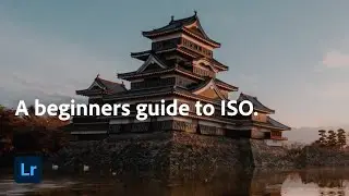 Understanding ISO and How to Use it | Adobe Photography Basics