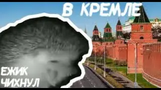 Ёжик чихнул, но это Кремль..