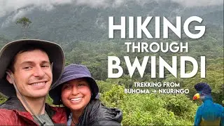 Uganda Safari VLOG - Hiking in Bwindi Impenetrable Forest (Buhoma to Nkuringo)