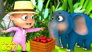 Jungle Camp Episode | TooToo Boy | Cartoon Animation For Children | Funny Comedy Kids Shows