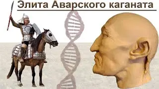 Avars - the origin and social organization of the elite of the Avar Kaganate in the 7th century A.D.