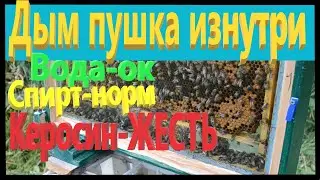 Что происходит внутри улья? Дым пушка от клеща. За стеклом.