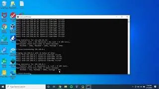 How to perform a ping test on Windows 10