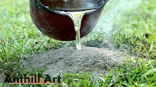 Three Fire Ant Colony Casting Session, Part 1: Big Colonies Hidden Under Small Hills (Cast #117)