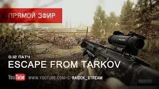 Escape From Tarkov - Новый патч, новые стволы. Stream by Raidok #264