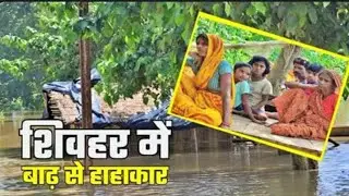 शिवहर मे बाढ का कहर #trending #kalyugbharatnews #news #bihar