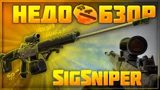 SIG SG 550 SNIPER - снова в строю? | Stalcraft