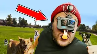 MUST HAVE GoPro Accessories!