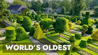 What 330 Year Old Topiary Looks Like - This Garden Is CRAZY