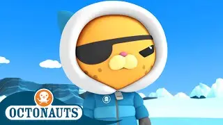 Octonauts #Winter Special! - The Great Arctic Adventure | Underwater Sea Education