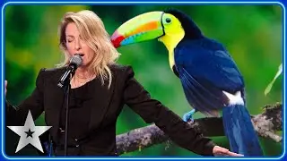 Geneviève Côté wows Judges with UNREAL animal impressions | Auditions | BGT 2024