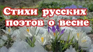 Сборник стихов русских поэтов о весне.