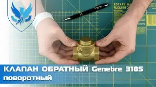 ⛲️🎥 Клапан обратный латунный поворотный Genebre 3185 Ду 25 | АРМАШОП