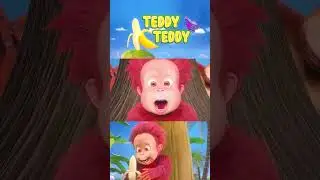 Orangutan Babies | Teddy Teddy | Sing Along