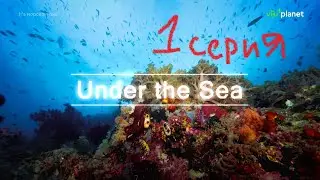 01. На морском дне (1 серия из 4) Under the Sea (2021)