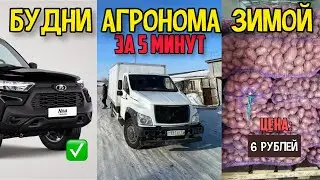 Работа в деревне: такие низкие цены на продукцию убивают СЕЛЬСКОЕ ХОЗЯЙСТВО. Отзыв НИВА Тревел