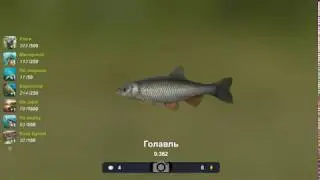 Trophy Fishing 2 - Голавль 0.362