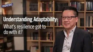 Understanding adaptability: What's resilience got to do with it?