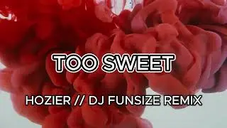 TOO SWEET - HOZIER (DJ FUNSIZE REMIX)