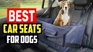 Top 5 Best Car Seats for Dogs in 2022