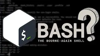 Shell, Bash, Zsh... que son??