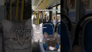 типы людей в автобусе 