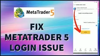 How to Fix MetaTrader 5 Login Problem 2024?