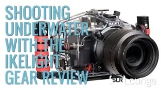 Shooting With Underwater Camera Housing | The Ikelite Gear Review