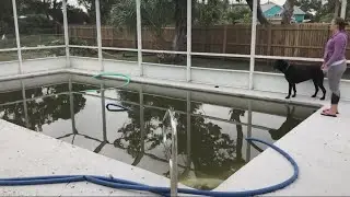 Floodwaters bleed through walls of couples home in St. Augustine