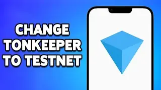 How To Change Tonkeeper To Testnet 2024