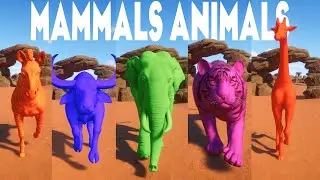 Bengal Tiger, African Elephant, Hippos, Giraffe& Other Mammals Animal Category in Planet Zoo