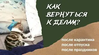 Как быстро выйти из прокрастинации и вернуться к делам после карантина при помощи трекера привычек