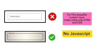 Make this beautiful custom input in just 3 minutes|| No javascript Used