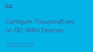 SD-WAN - Configure ThousandEyes on SD-WAN Devices